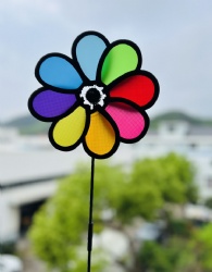 windflower